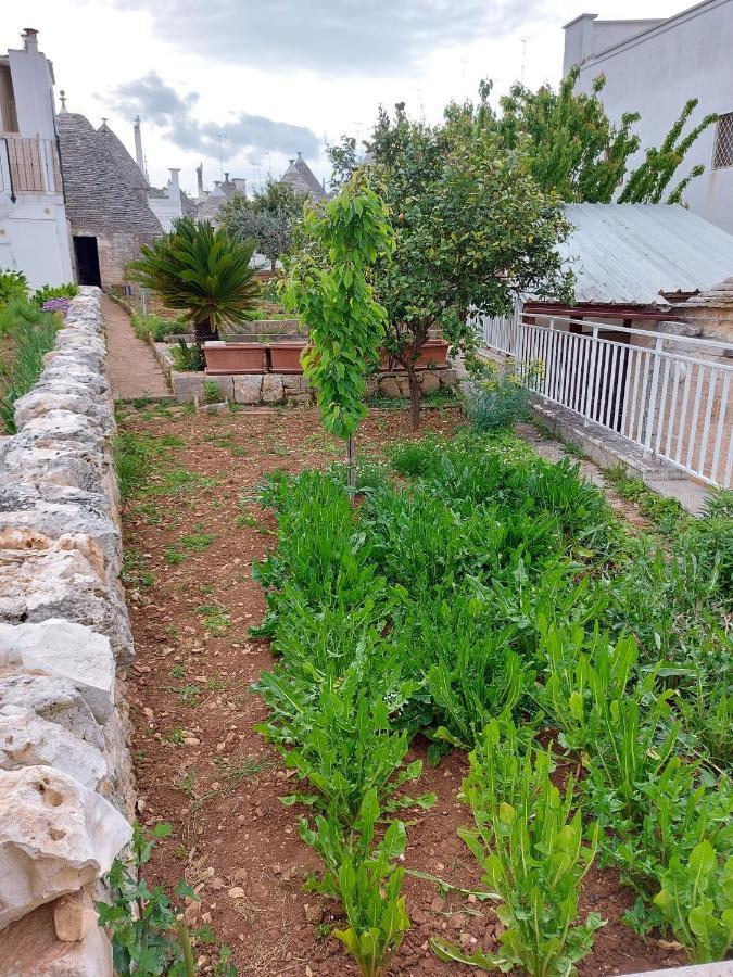 Il Trullo Di Giada E Mattia Villa Alberobello Exterior photo